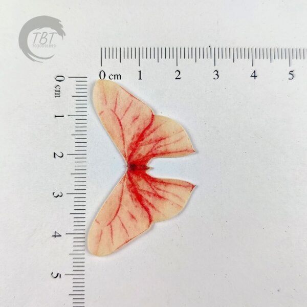 Pastel Color Medium Size Edible Pre-Cut Butterfly Wafer Paper - Image 2