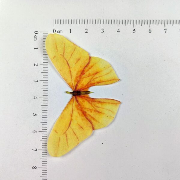 Pastel Color Big Size Edible Pre-Cut Butterfly Wafer Paper - Image 4