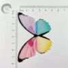 Rainbow Color Big Size Edible Pre-Cut Butterfly Wafer Paper - Image 3