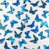 Blue Edible Pre-Cut Butterfly Wafer Paper - Image 3