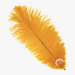 yellow-single-feather