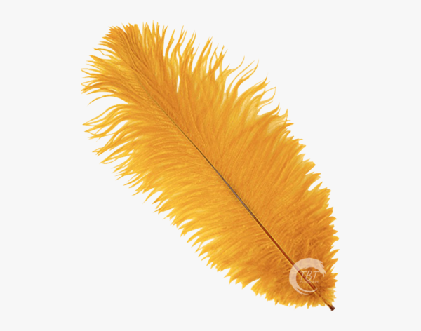 yellow-single-feather