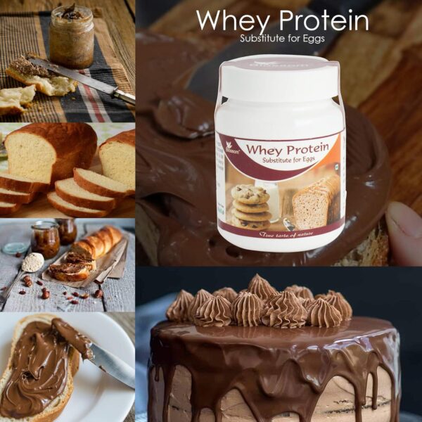 Blossom Whey Protein Substitute For Eggs 75 GM - Image 2