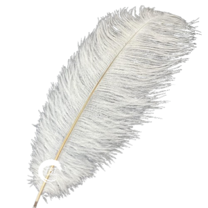 white-single-feather