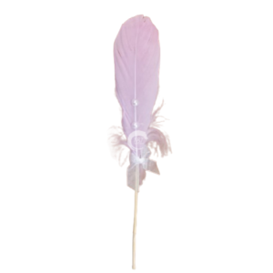 purple-feather-with-pearl