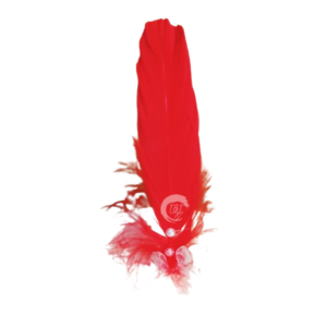 red-feather-with-pearl