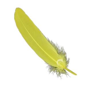 yellow-feather