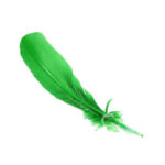 green-feather
