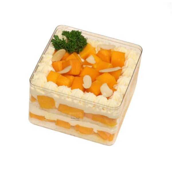 transparent-acrylic-dessert-square-tub-with-lid-pack-of-3