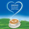 Nestle Everyday Dairy Whitener Milk Powder - Image 2