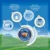 Nestle Everyday Dairy Whitener Milk Powder - Image 5