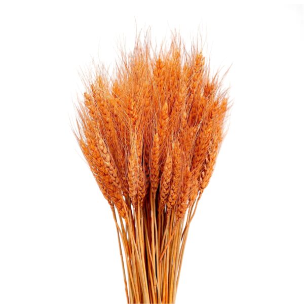 orange-dried-wheat-grass-cake-decoration-1-piece