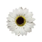 white-artificial-sunflower