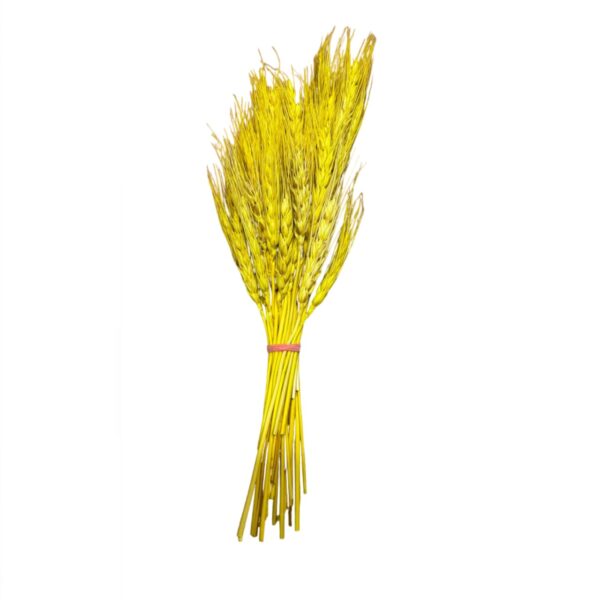 yellow-dried-wheat-grass-cake-decoration-1-piece
