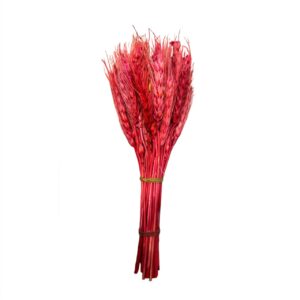 red-dried-wheat-grass-cake-decoration-1-piece