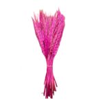 pink-dried-wheat-grass-cake-decoration-1-piece