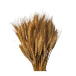 golden-dried-wheat-grass-cake-decoration-1-piece