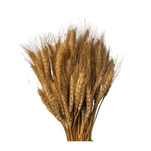 golden-dried-wheat-grass-cake-decoration-1-piece