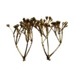 golden-artificial-small-filler