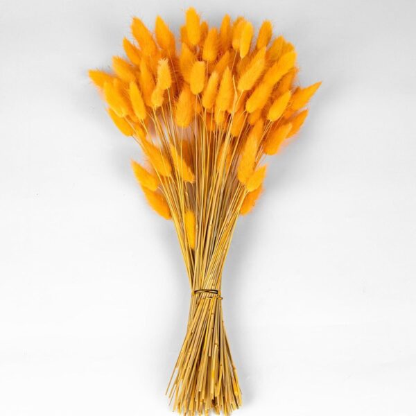 Artificial Bunny Tails (1 Piece) - Image 3