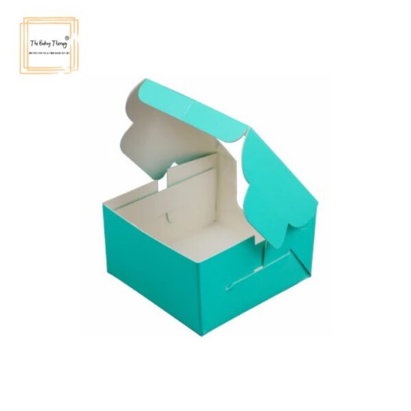1-pc-single-brownie-box-green-pack-of-10-pcs