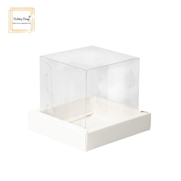 transparent-hamper-jar-and-bento-cake-box-in-white-pack-of-10-pcs
