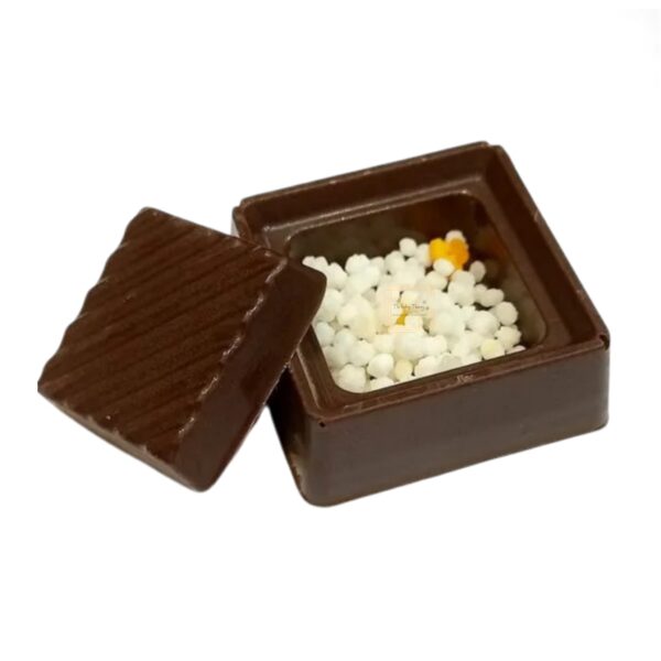 center-filling-sqaure-chocolate-mold