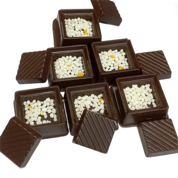 center-filling-sqaure-chocolate-mold