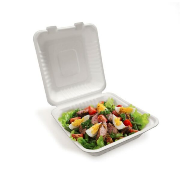eco-friendly-clamshell-take-out-food-containers-pack-of-10-pcs