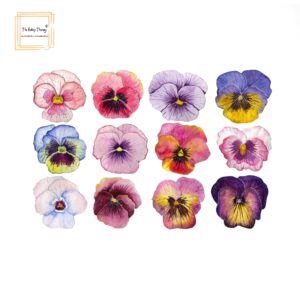 edible-pre-cut-flowers-wafer-paper-11