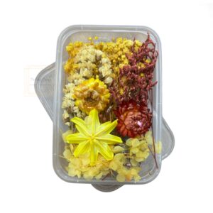 real-dry-flower-box-for-resin-art-craft-projects-and-cake-decoration-color-3