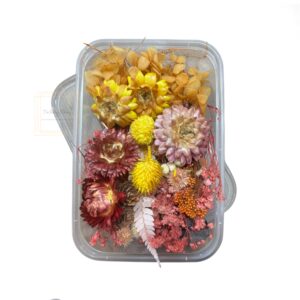 real-dry-flower-box-for-resin-art-craft-projects-and-cake-decoration
