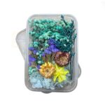 real-dry-flower-box-for-resin-art-craft-projects-and-cake-decoration-color-6